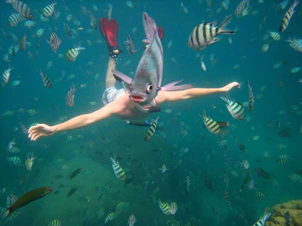 funny-perspective-photo