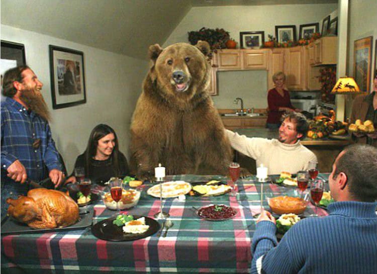 20 photos you have to see to nbelieve