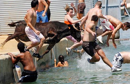 Most Amazing and Shocking Bullfights
