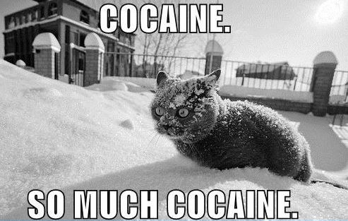 cocaine meme