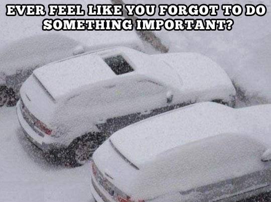 snow fail