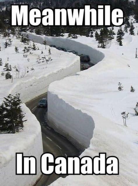 canada memes
