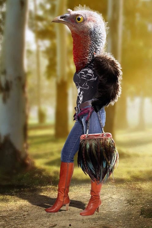 fashion turkey