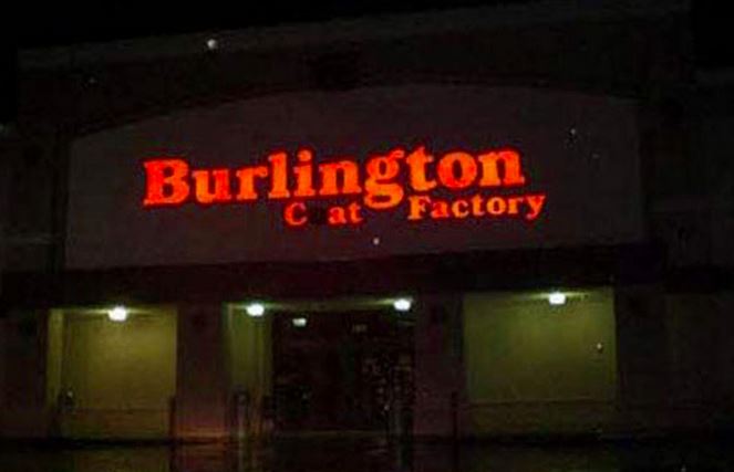 cat factory