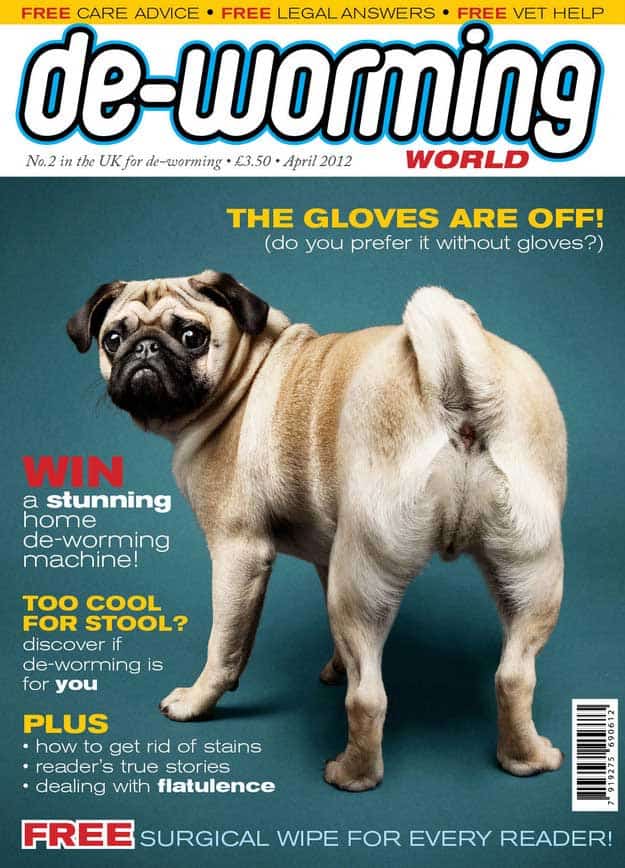 magazine cover fake