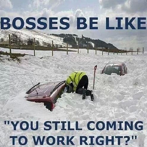 snow meme boss