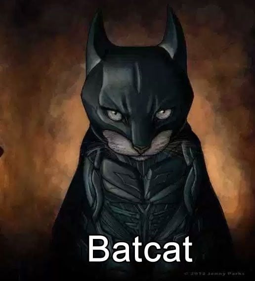 batcat