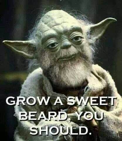 yoda-beard