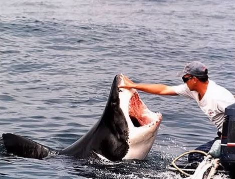 photos you have to see to believe
