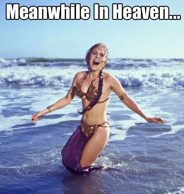 princess-leia-heaven