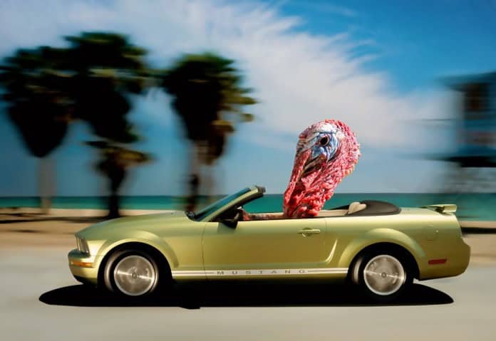 turkey car