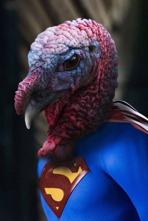 turkey superman