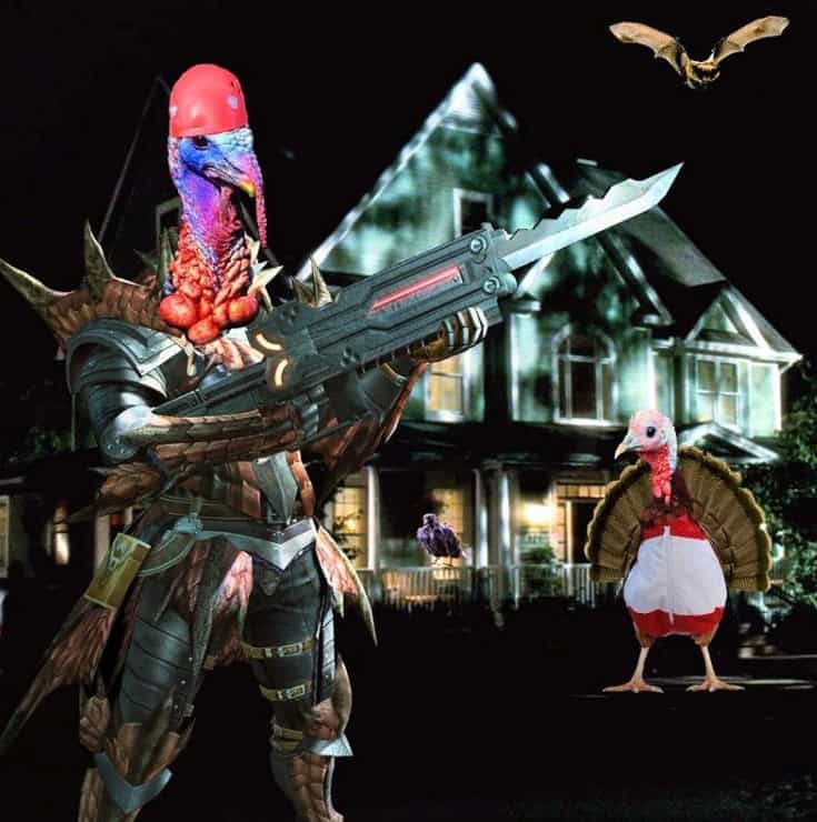 turkey warrior