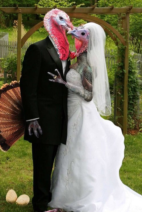 turkey wedding