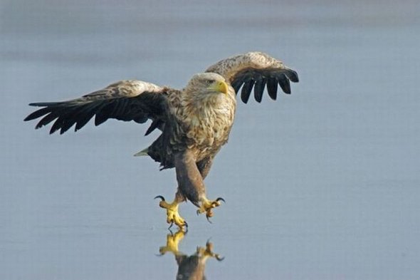 unbelievable image gallery