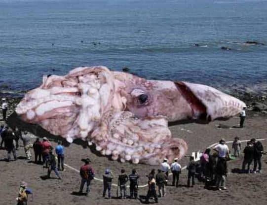 unbelievable images