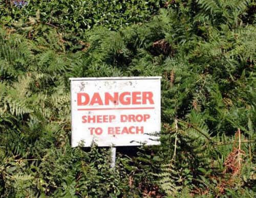 danger-sign-wtf
