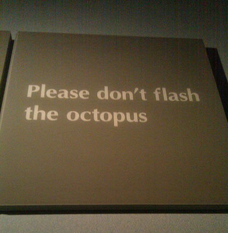 warning-sign-fail