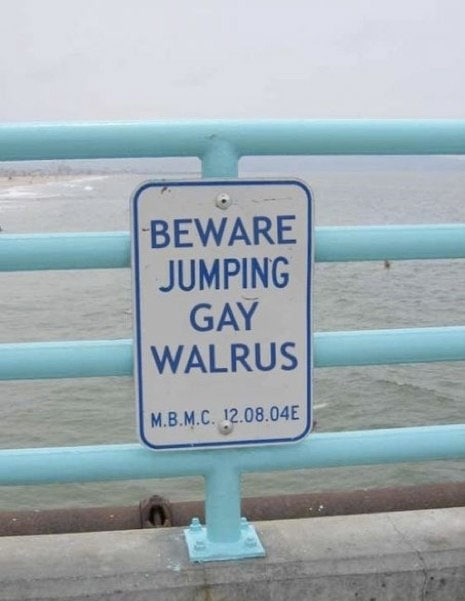 wtf-animal-sign