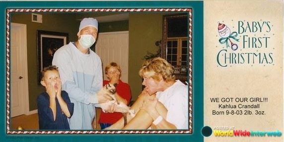 funny family christmas cards
