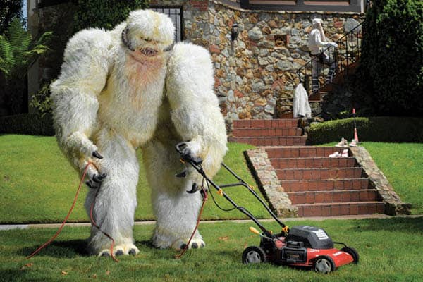 wampa-real-life