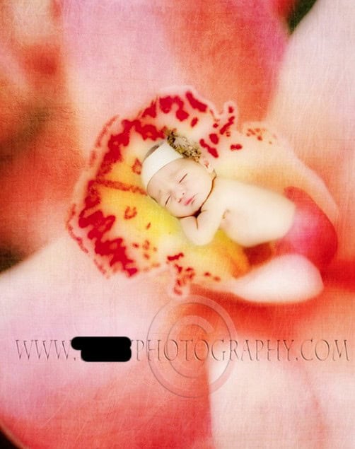 wtf baby photography