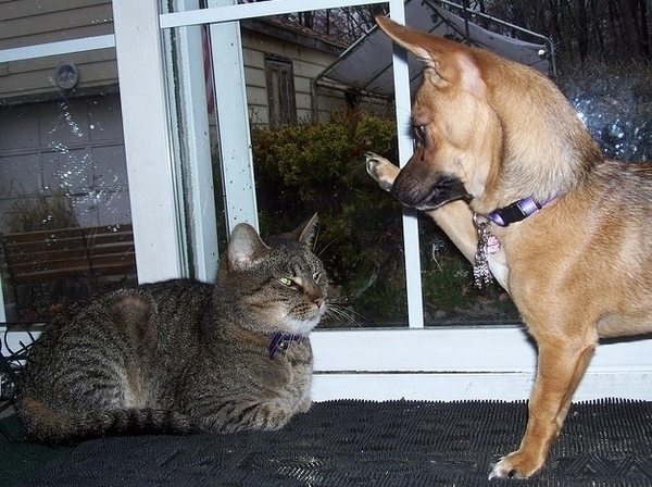 high five