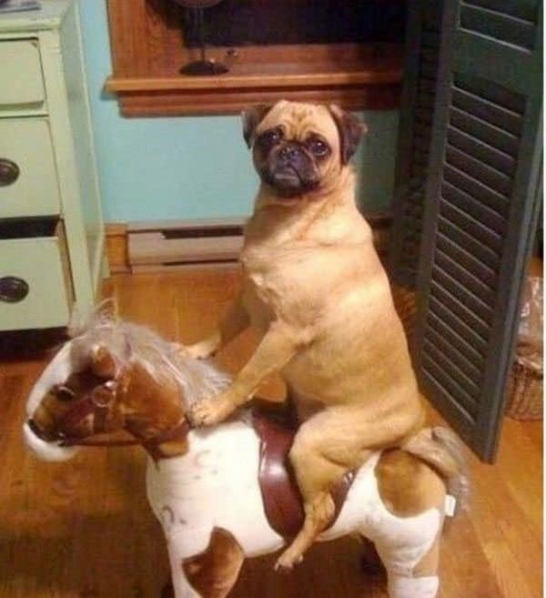 most-wtf-ever