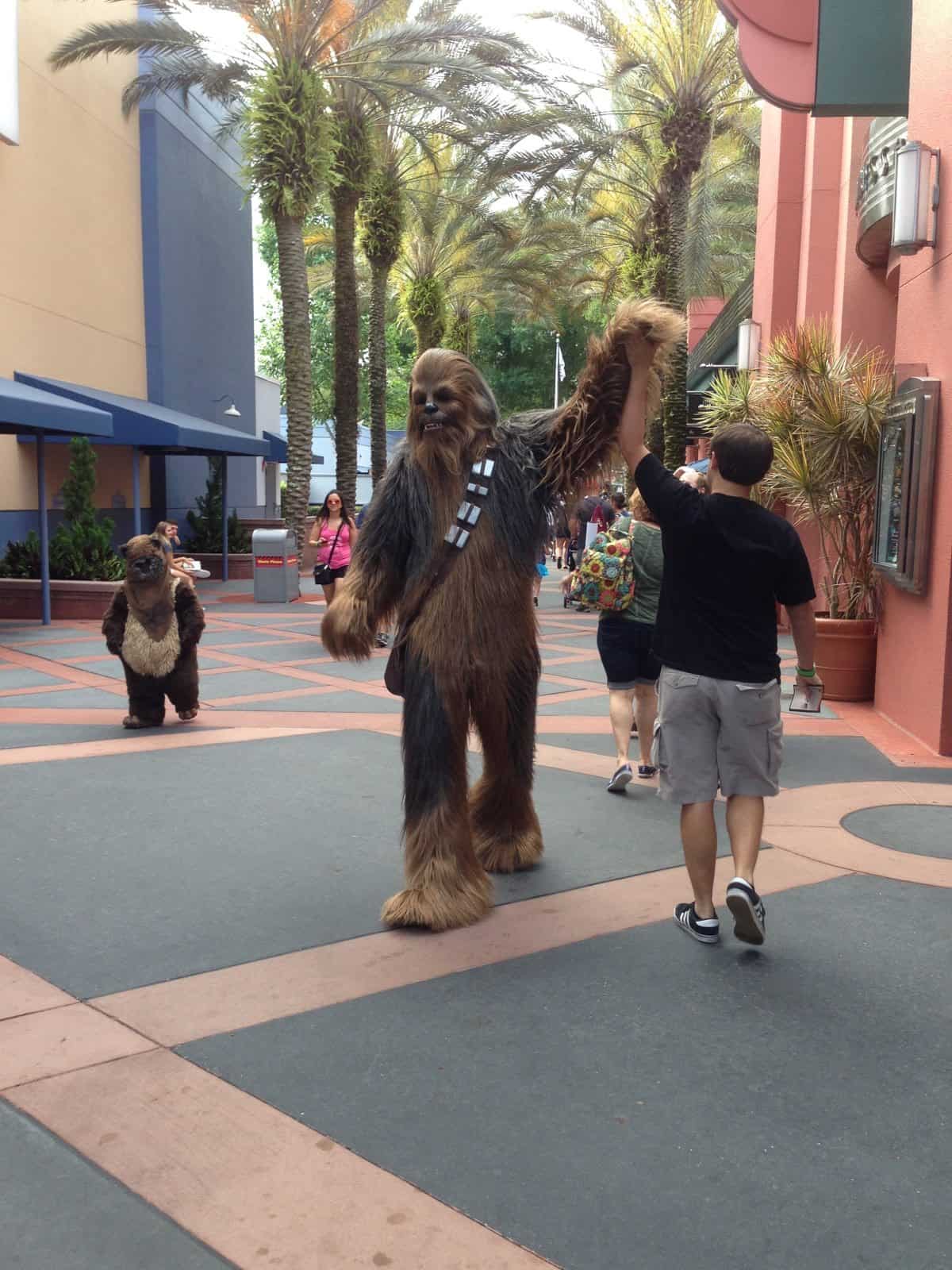 best photo ever chewbacca