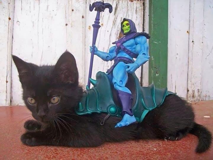 greatest-toy-picture-ever
