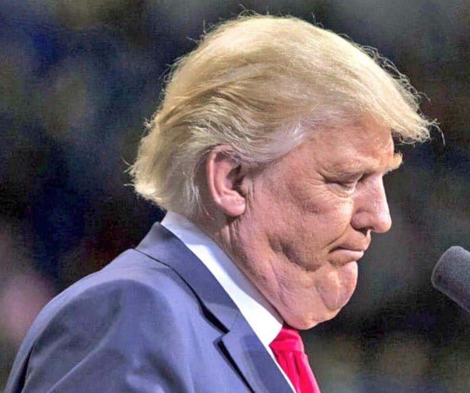 trump hates this picture