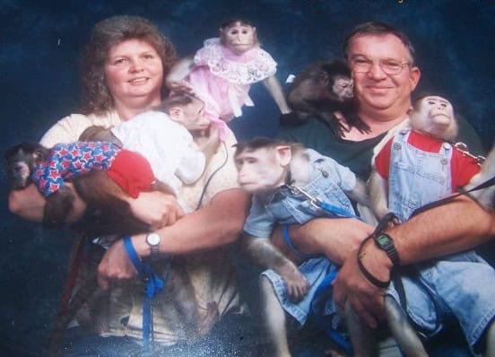 monkey couple