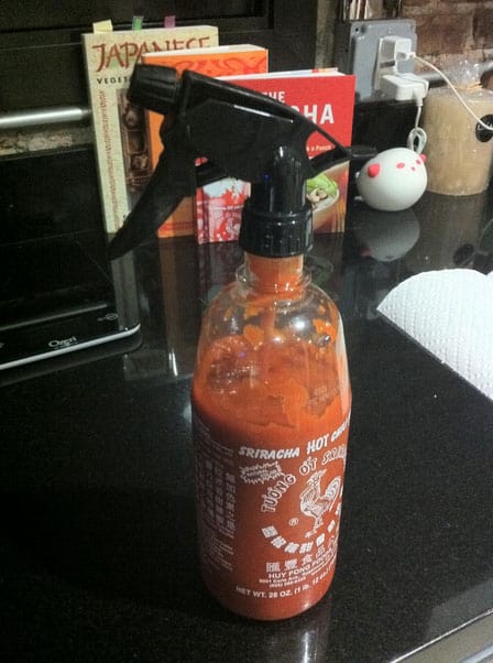 srirachq-squirt-bottle
