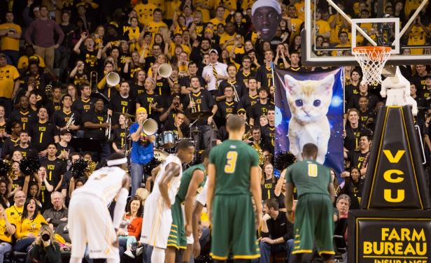 cat free throw distraction