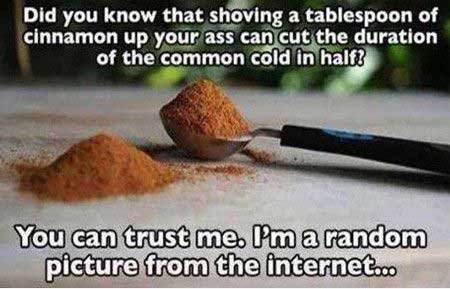 learn something new internet