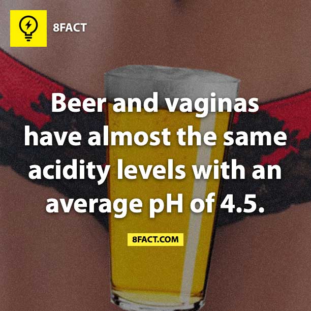 learn something new meme