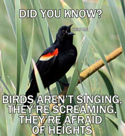 learn something new photos