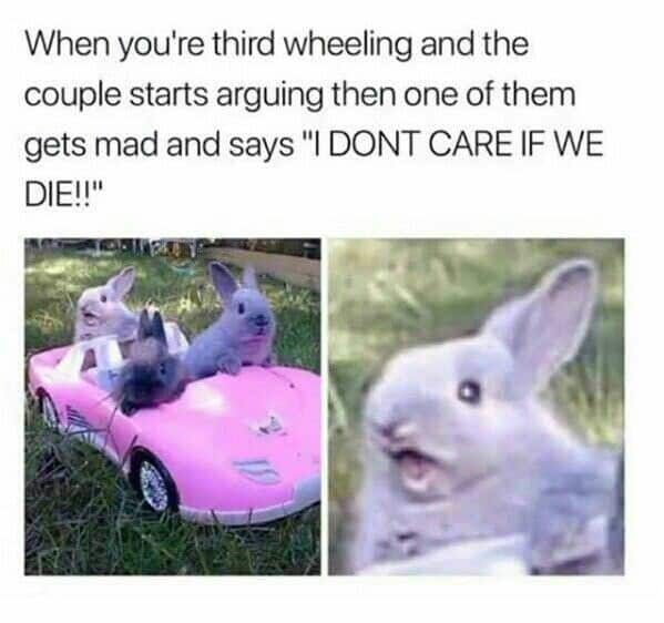 funny easter memes, best easter memes, funniest easter memes, easter meme
