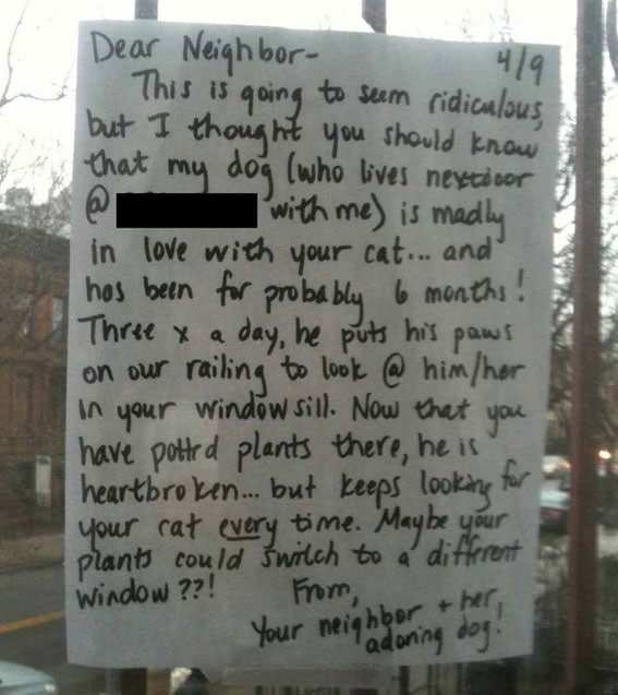 neighbor-note-cat