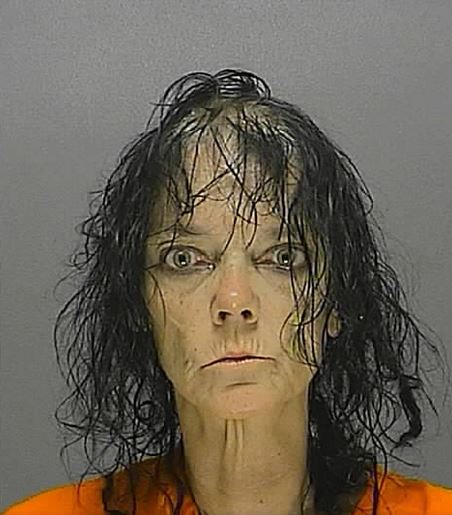 florida mugshots wtf