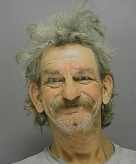 florida mugshots best