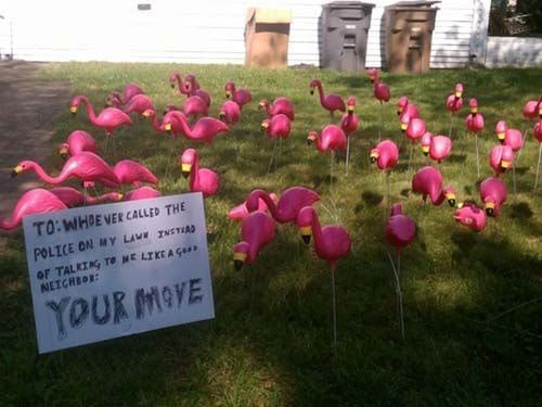 neighbor-your-move