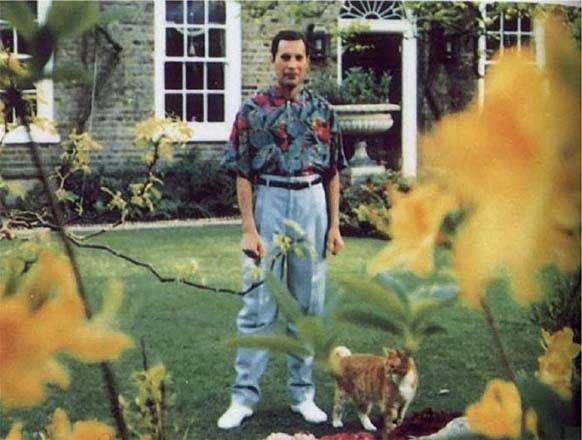 last photo of celebrities