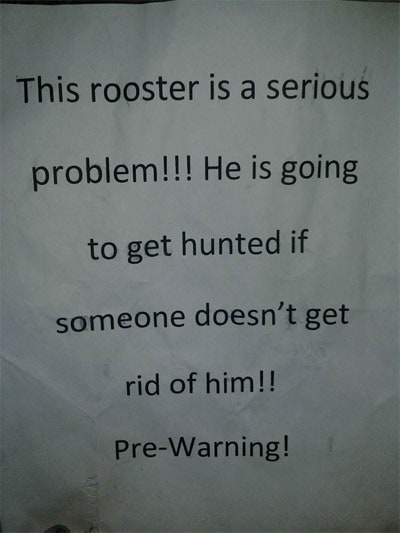 funny-notes