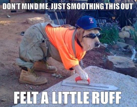 working dog meme