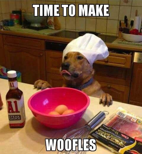 woofles funny dog meme