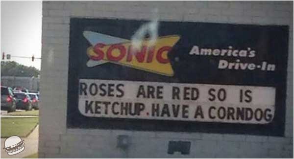 funny sonice