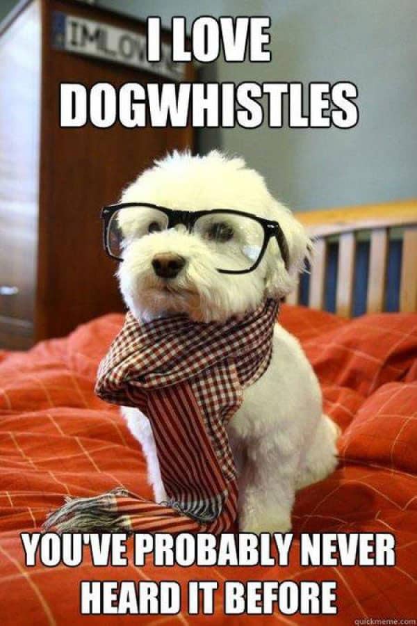 dog whistles dog meme