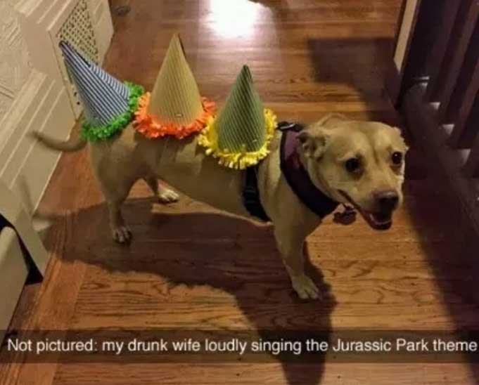jurassic park dog meme