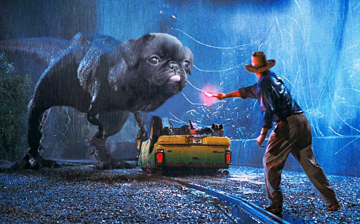Famous Movie Scenes